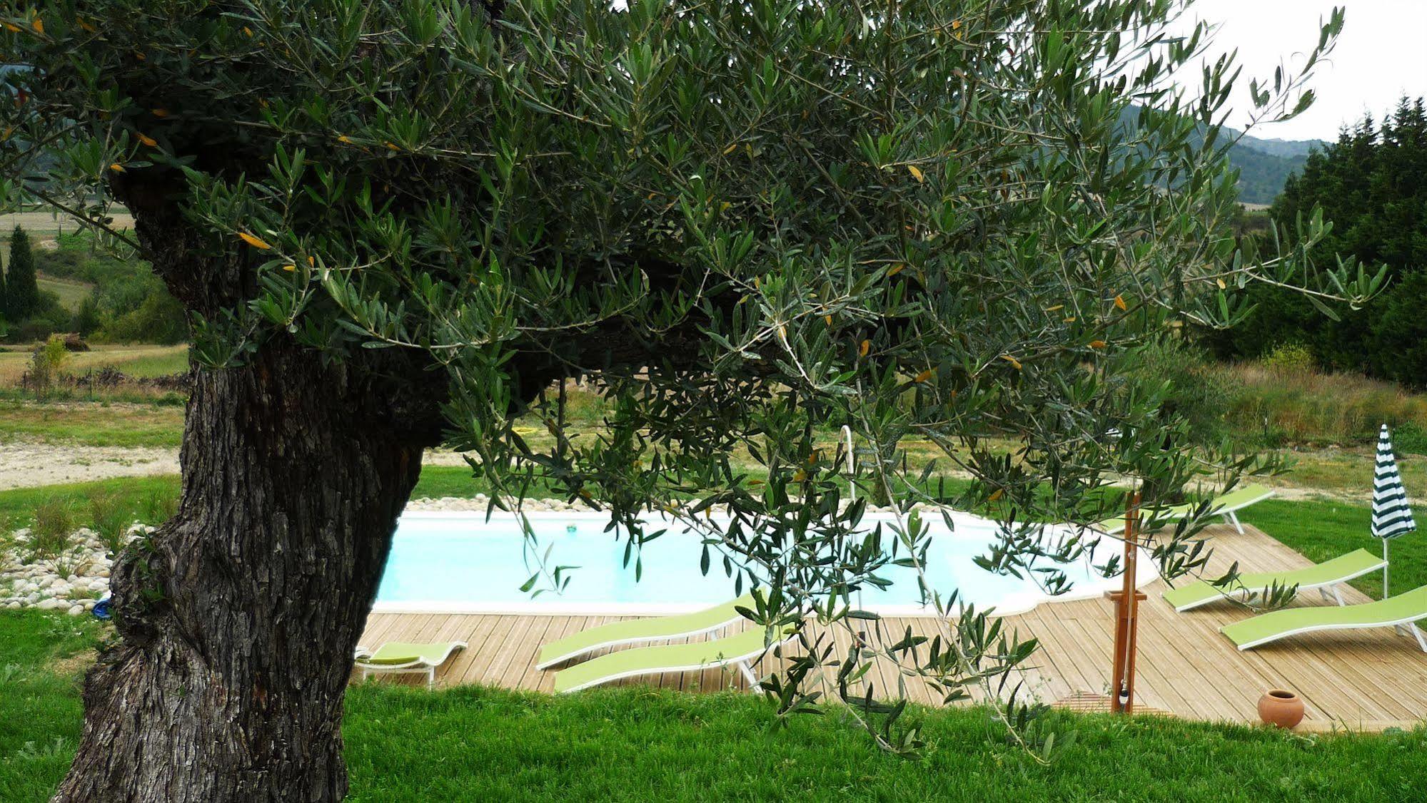Bed and Breakfast Relais De L'Alsou- Piscine Labastide-en-Val Екстер'єр фото